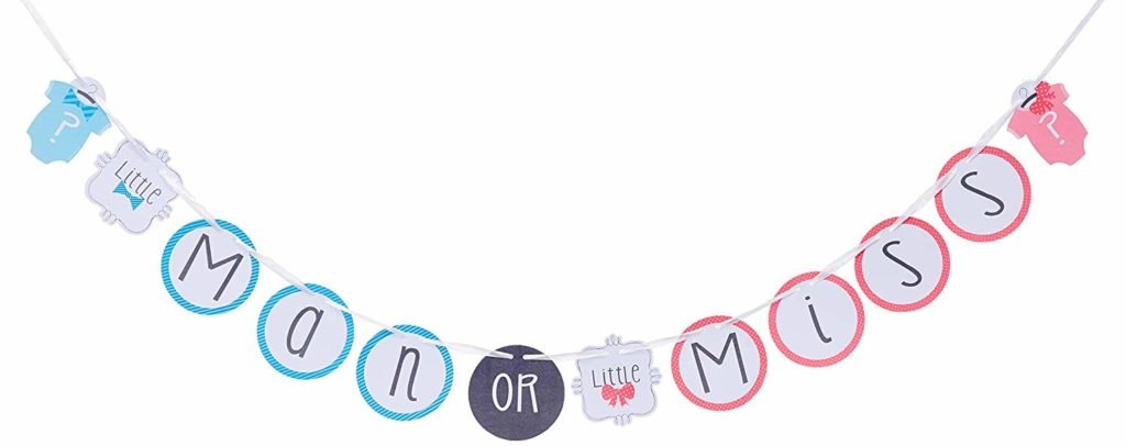 little man or little miss gender reveal party banner