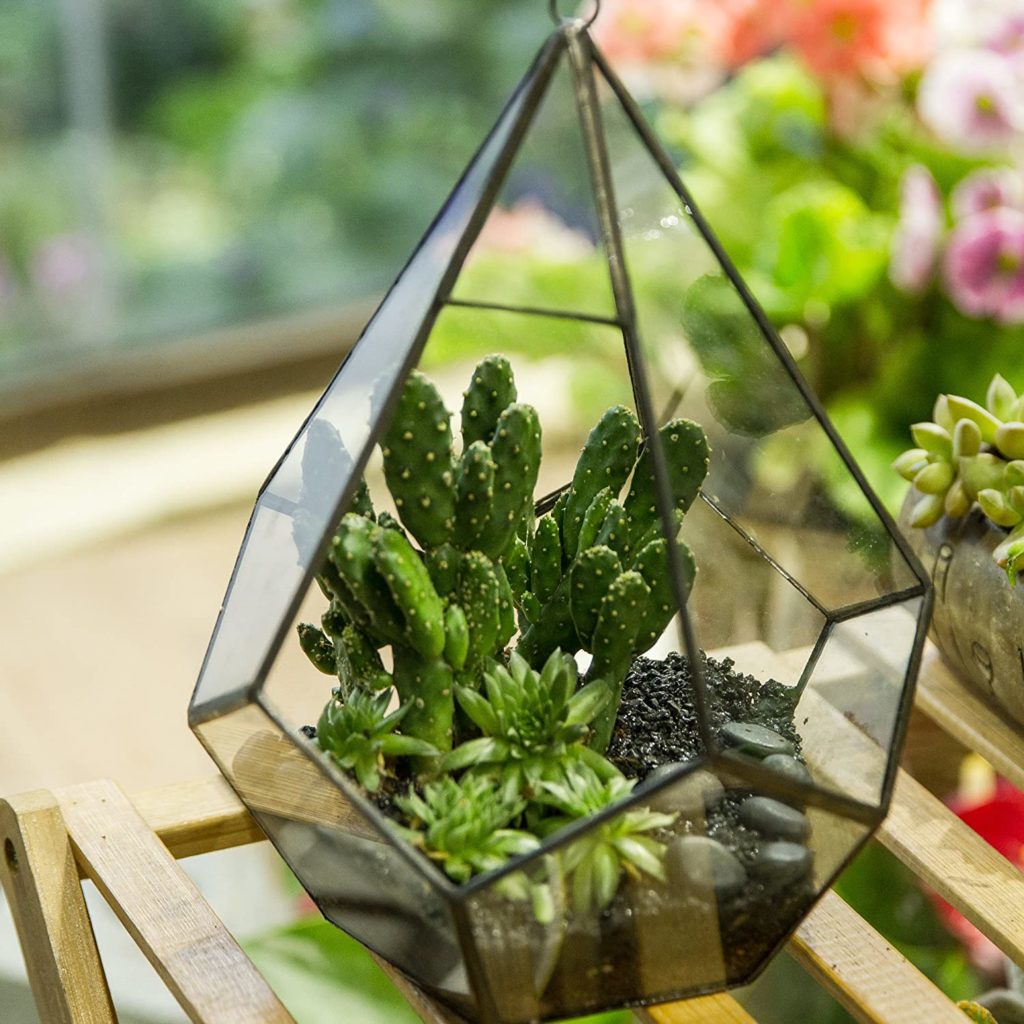geometric glass terrarium
