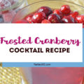 We have an easy Christmas drink recipe for you! This Frosted Cranberry Cocktail with vodka is the perfect winter and holiday signature drink! Click for the full recipe. #cocktailrecipe #cranberries #holidaydrink
