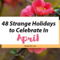Love celebrating weird and unique holidays? Us too! Here are some of April's strangest days to celebrate... there's always a reason for a party! #April #weirdholidays #celebratetoday