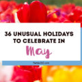 Love celebrating weird and unique holidays? Us too! Here are some of May's most unusual days to celebrate... there's always a reason for a party! #May #weirdholidays #celebratetoday
