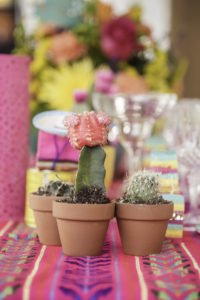 Planning a Bridal Shower and need ideas for themes? You'll love this Mexican themed Fiesta Bridal Shower and Pool Party! Full of brightly colored festive decorations, centerpieces, tables, signs food and favors, you'll find all the inspiration you need for her Final Fiesta! #bridalshower #fiesta #weddingshower #partythemes #partysupplies