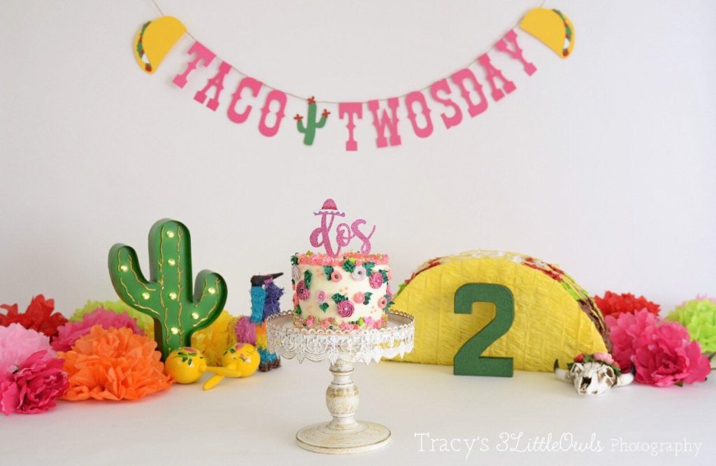 taco twosday party banner and supplies