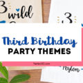 Looking for a fun and fabulous Third Birthday Party Theme? Here are our favorite 3rd Birthday Party themes that work for girls or for boys, complete with ideas for decorations, invitations, outfits and more! #3rdbirthday #thirdbirthday #partyideas #partythemes