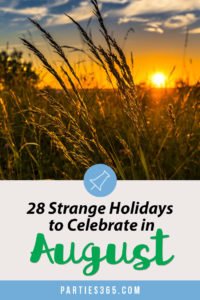 Love celebrating weird and strange holidays? Us too! Here are some of the strange holidays to celebrate in August... there's always a reason for a party! #August #weirdholidays #celebratetoday #specialholiday