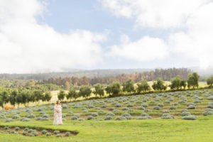 This Little Pumpkin themed Baby Shower is perfect for fall and works for a baby girl or a boy! Held on a stunning lavender farm in Hawaii, this autumn baby shower has lovely decorations, food, cookie favors and a cake to inspire your party planning! #babyshower #littlepumpkin #fallparty #pumpkinshower #partydecor