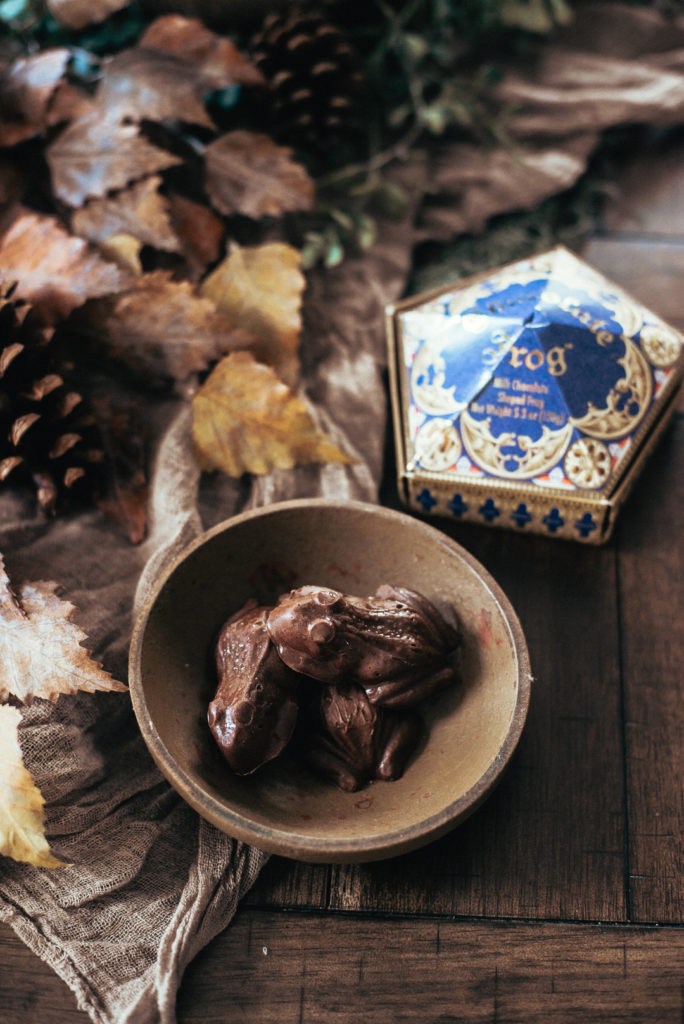 harry potter chocolate frogs