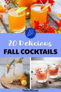 Looking for delicious fall cocktails for a crowd? Here are our favorite autumn drink recipes with alcohol - from vodka to whiskey and more - that are warm, easy and simple to make for Thanksgiving dinner or just because! #fallcocktail #cocktails #drinkrecipe #cocktailrecipe
