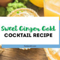 sweet ginger gold cocktail recipe