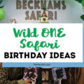 wild one safari birthday ideas