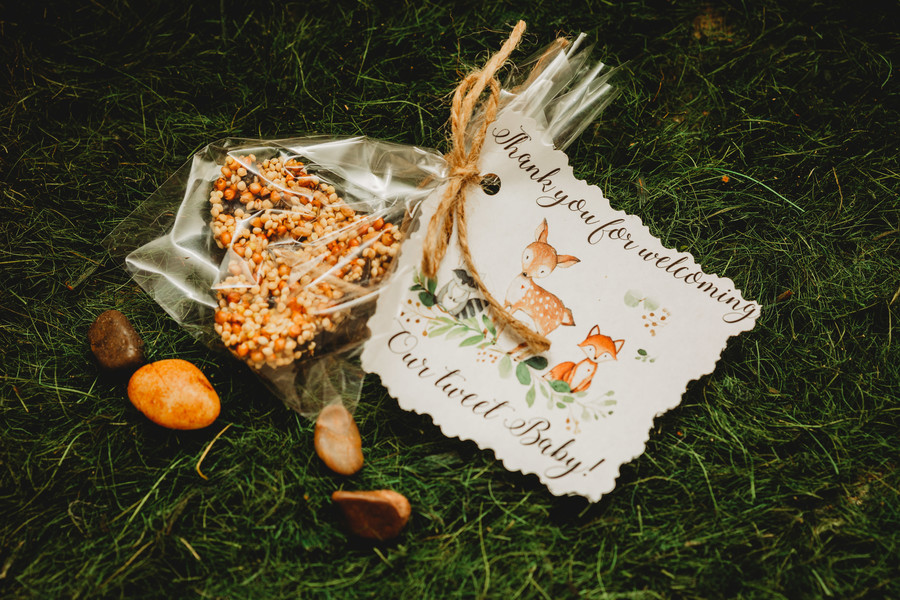 bird seed party favors
