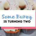 bunny birthday party ideas