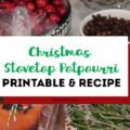 Christmas Stovetop Potpourri Hostess Gift and Printable