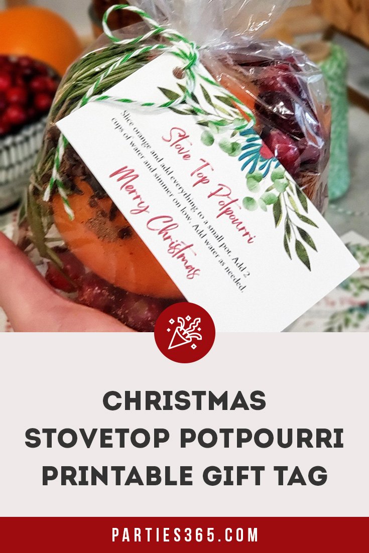 Christmas Stovetop Potpourri Hostess Gift with Printable - Parties365 ...