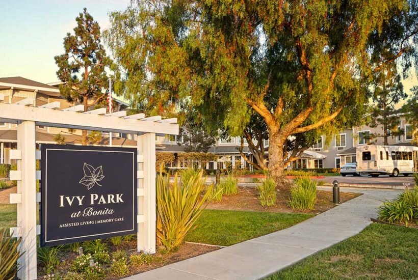 Social and Wellness Programs for Older Adults in Lemon Grove