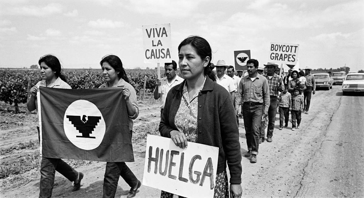 helens role in building the united farm workers