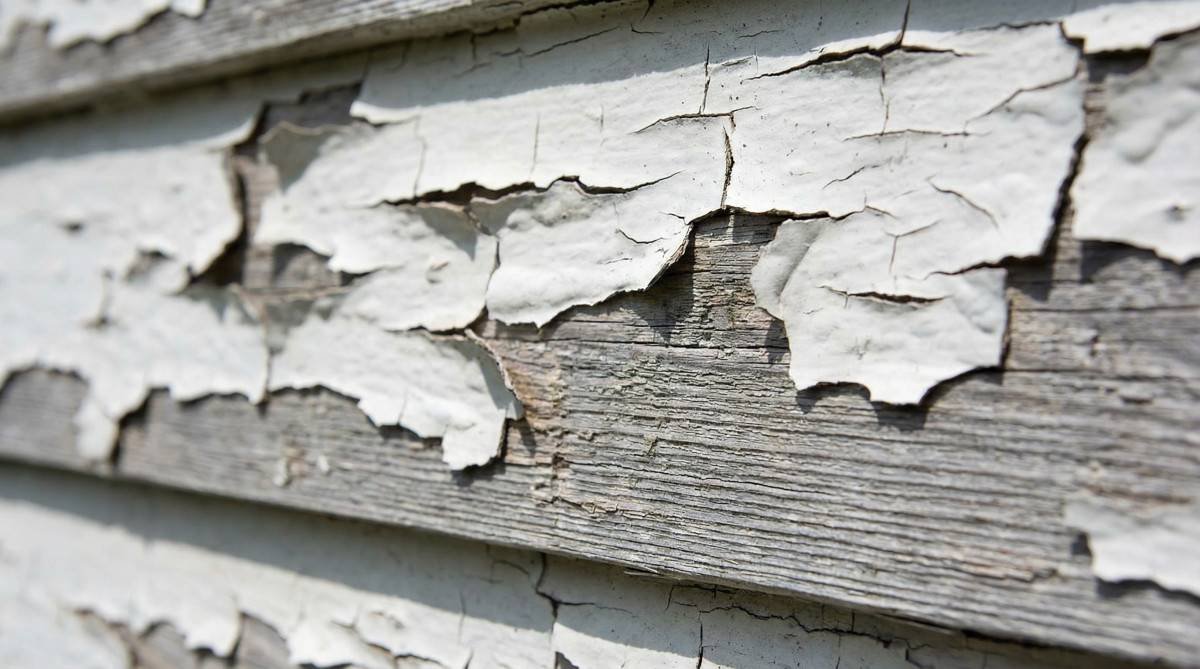 the-complete-guide-to-exterior-paint-longevity-max-2