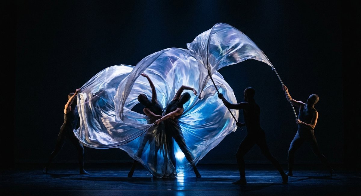 what is momix understanding the art form