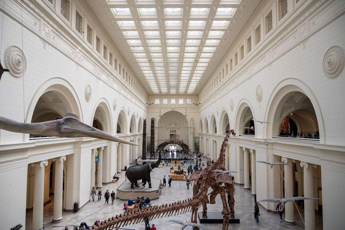 4-ways-to-have-a-great-time-in-the-chicago-area-2