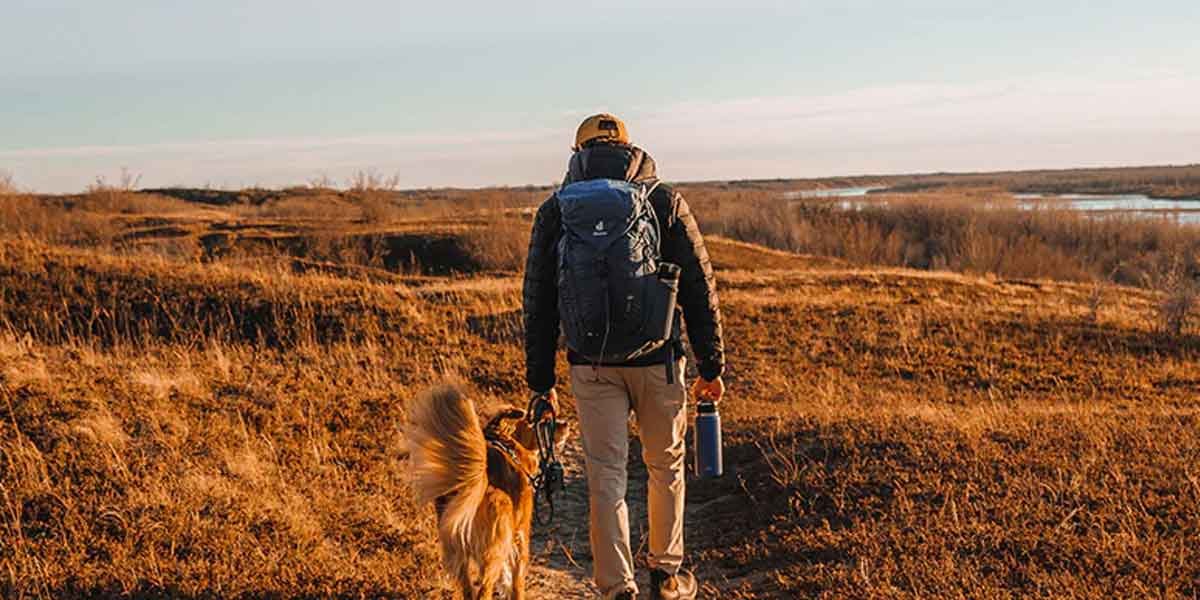 The-Ideal-Companion-for-Outdoor-Enthusiasts