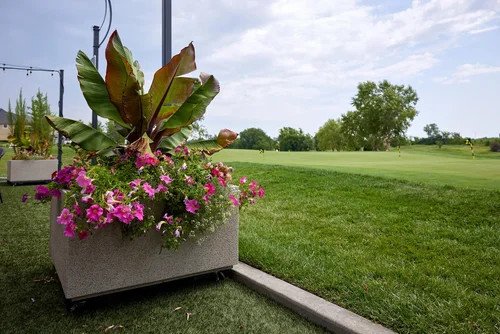 garden-party-decor-ideas-that-blend-nature-with-mo-1