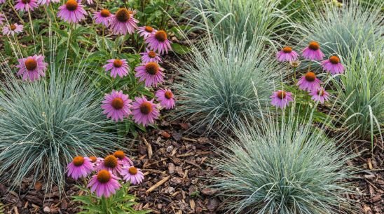 low-maintenance-landscaping-ideas-backyard-2026-gu-2