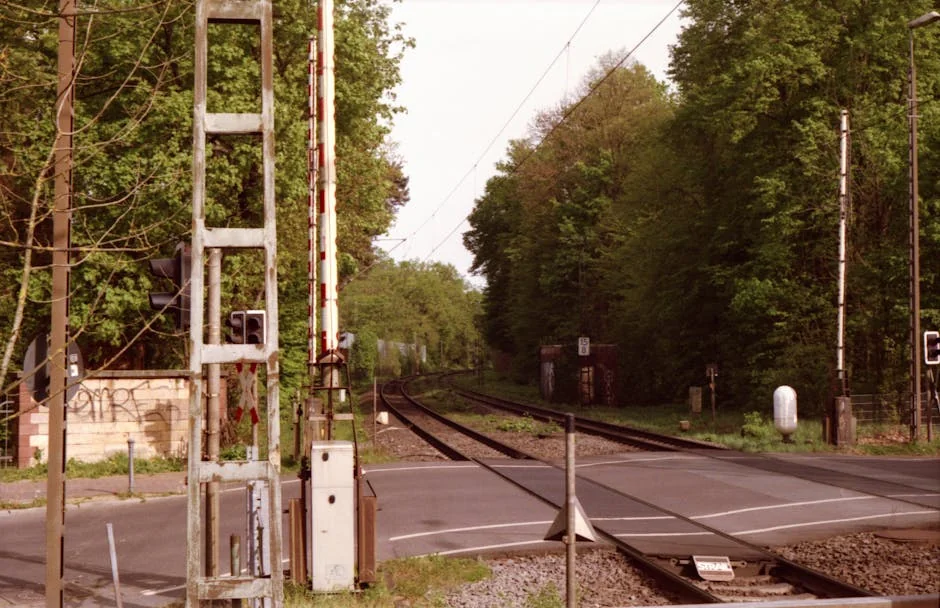 A peaceful railway crossing surrounded by lush green forest in summer. - portalrhrenner