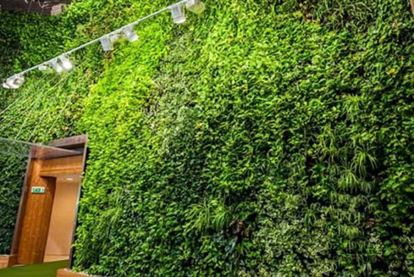Why More Homeowners Are Choosing Artificial Green Walls Over Real Plants