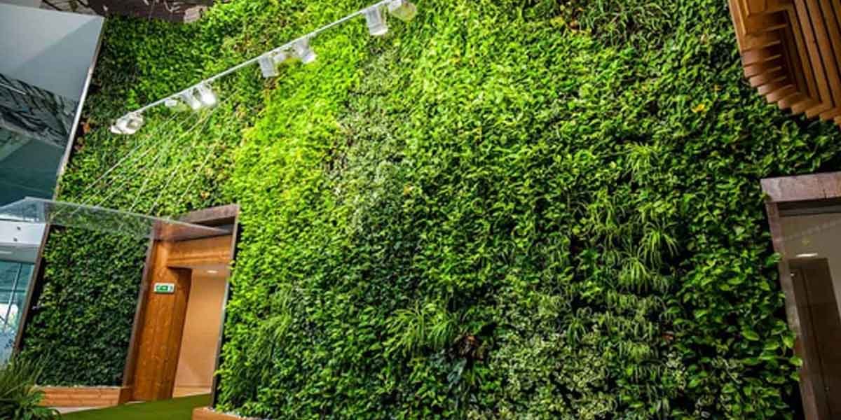 Why More Homeowners Are Choosing Artificial Green Walls Over Real Plants