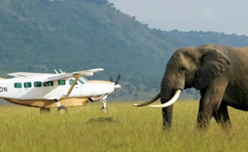 luxury-masai-mara-safari-what-they-dont-tell-you-b-1