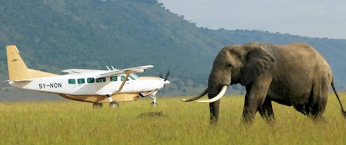 luxury-masai-mara-safari-what-they-dont-tell-you-b-1