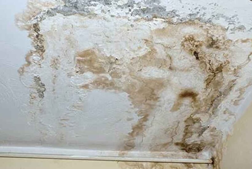 The-Top-Reasons-Mold-Takes-Hold-in-Homes