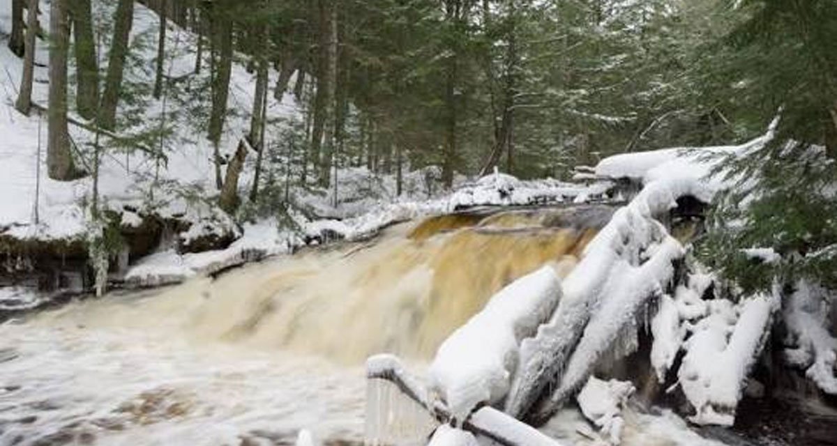 Beginner's Guide to Exploring Sturgeon Falls