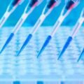 How Do In Vitro ADME Assays Guide Compound Ranking?