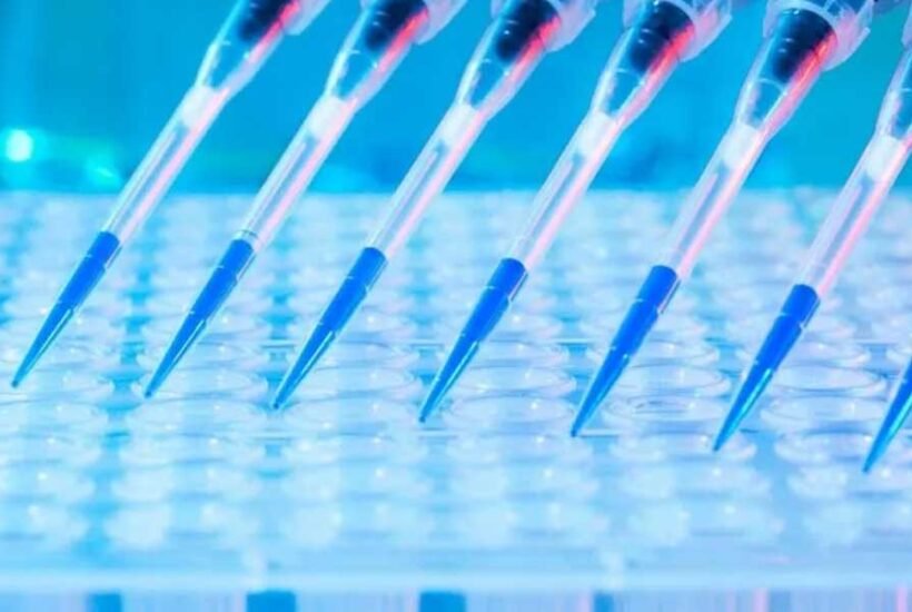 How Do In Vitro ADME Assays Guide Compound Ranking?