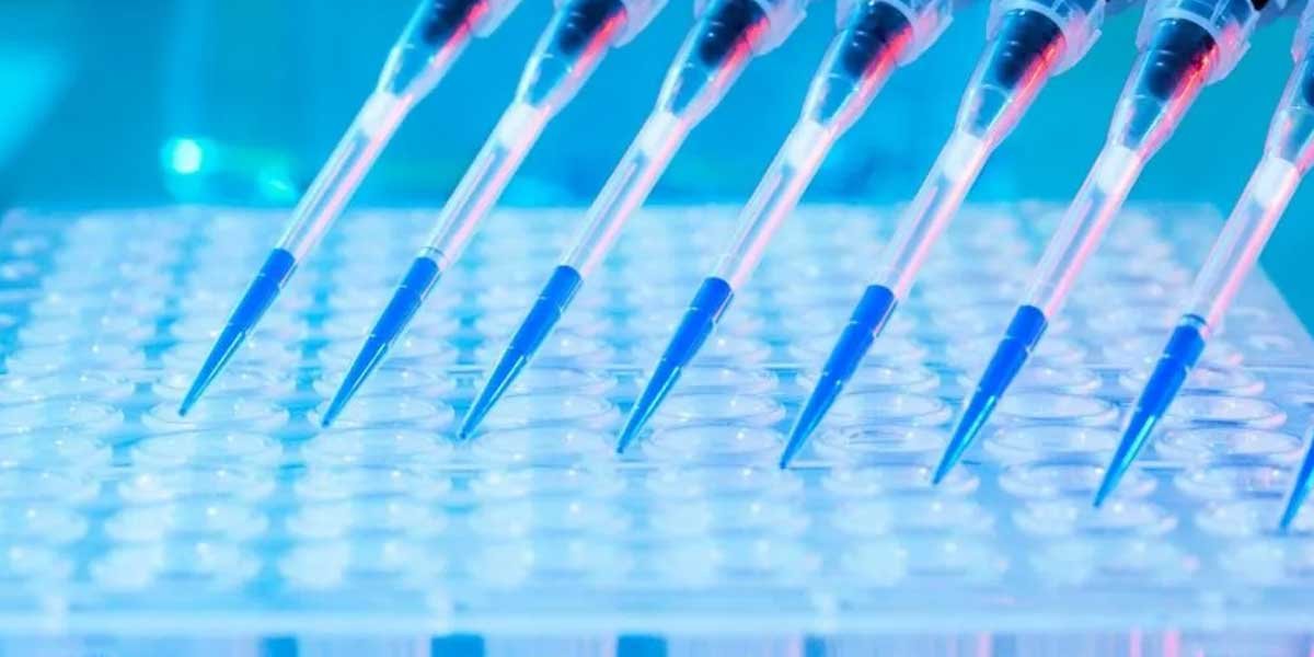 How Do In Vitro ADME Assays Guide Compound Ranking?