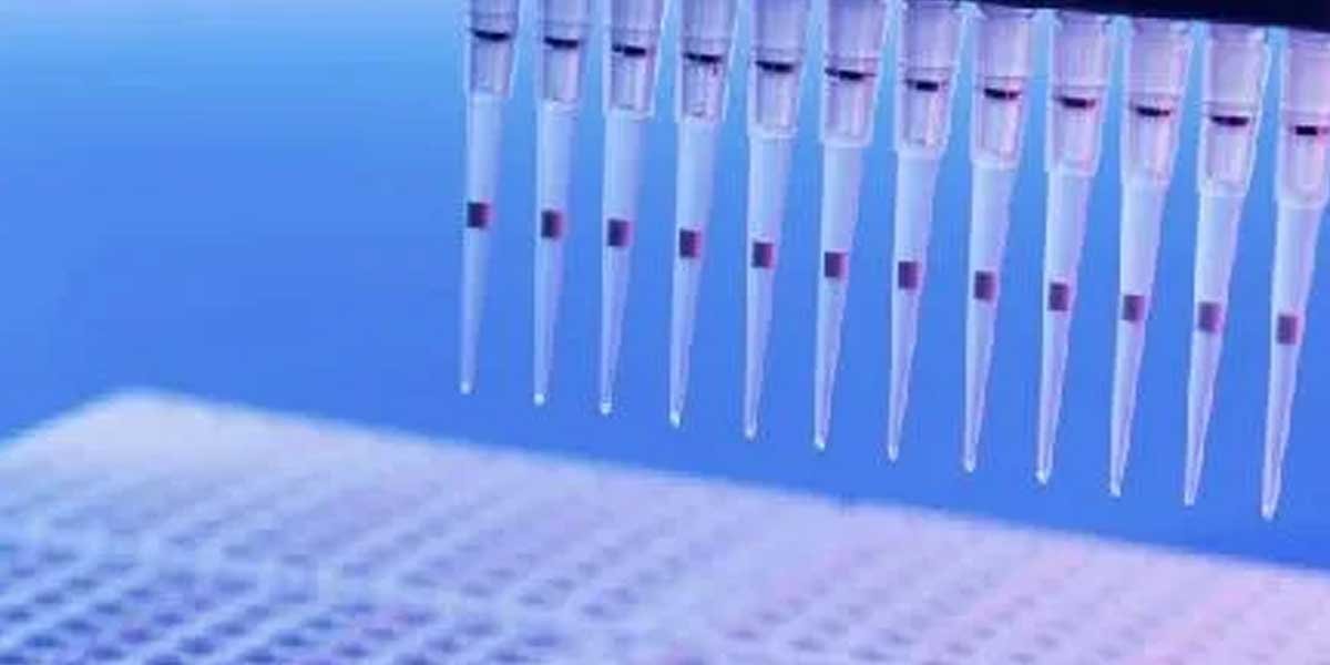 How Does PH Affect Drug Absorption in the Body?