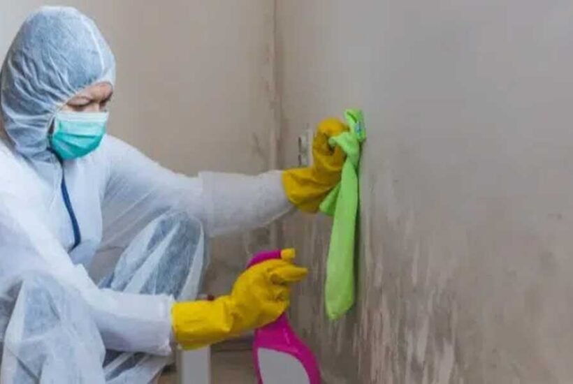How-to-Clean-Walls-Before-Painting