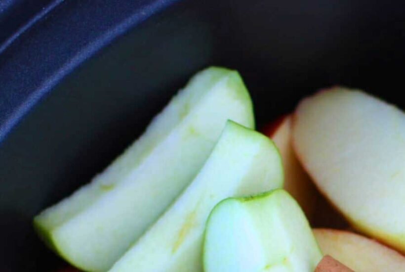 Ways-Non-GMO-Applesauce-Pouches-Can-Complement-Your-Balanced-Lunch