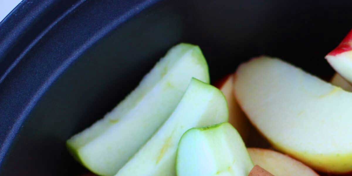 Ways-Non-GMO-Applesauce-Pouches-Can-Complement-Your-Balanced-Lunch