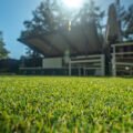 artificial-grass-vs-turf-key-differences-costs-and-1