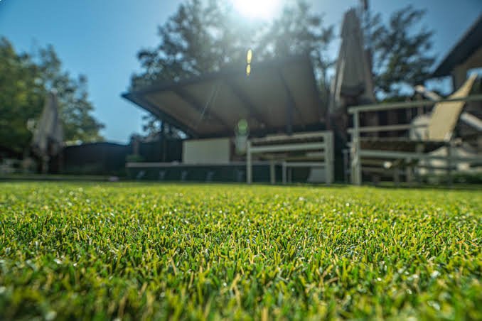 artificial-grass-vs-turf-key-differences-costs-and-1