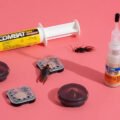cockroaches-best-killer-bait-the-colony-dont-just-1