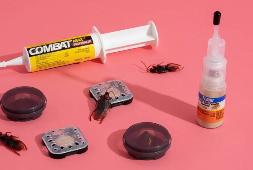 cockroaches-best-killer-bait-the-colony-dont-just-1