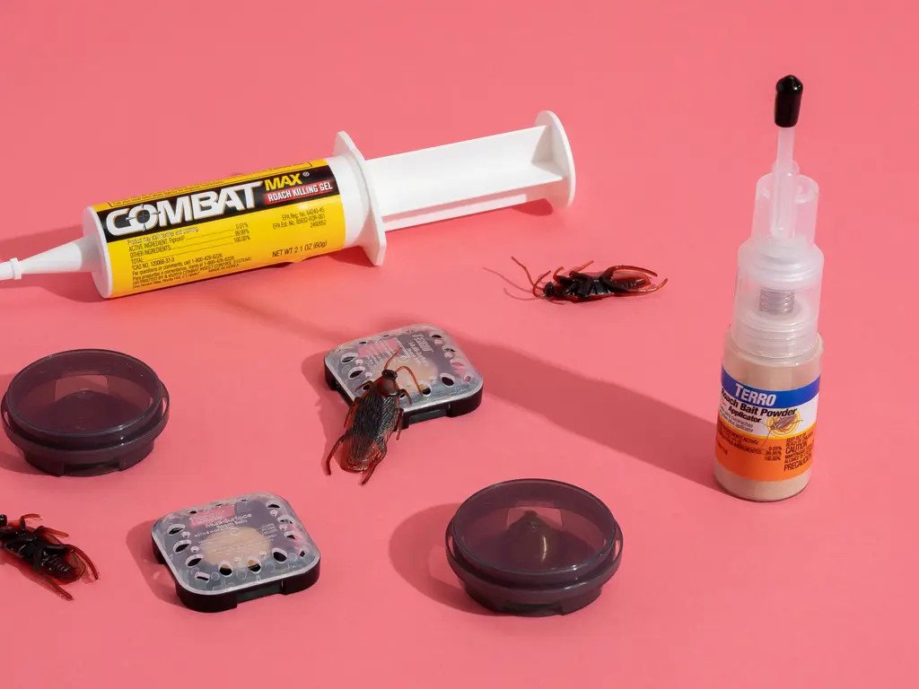 cockroaches-best-killer-bait-the-colony-dont-just-1