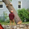 tree-removal-cost-per-hour-average-rates-and-what-1