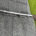 wildlife-removal-reviews-how-to-choose-the-best-co-1