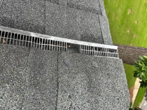 wildlife-removal-reviews-how-to-choose-the-best-co-1
