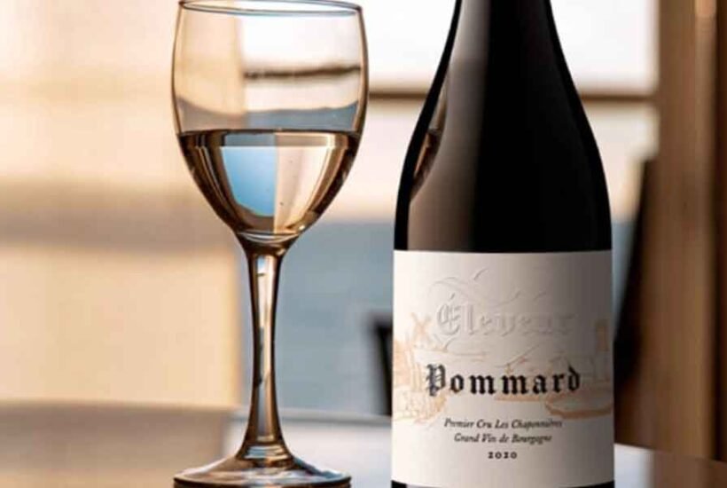 7 Best Wine Ecommerce Agencies for DTC Brands