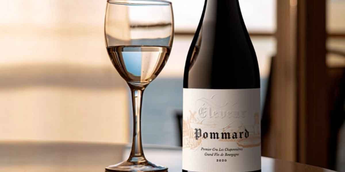 7 Best Wine Ecommerce Agencies for DTC Brands